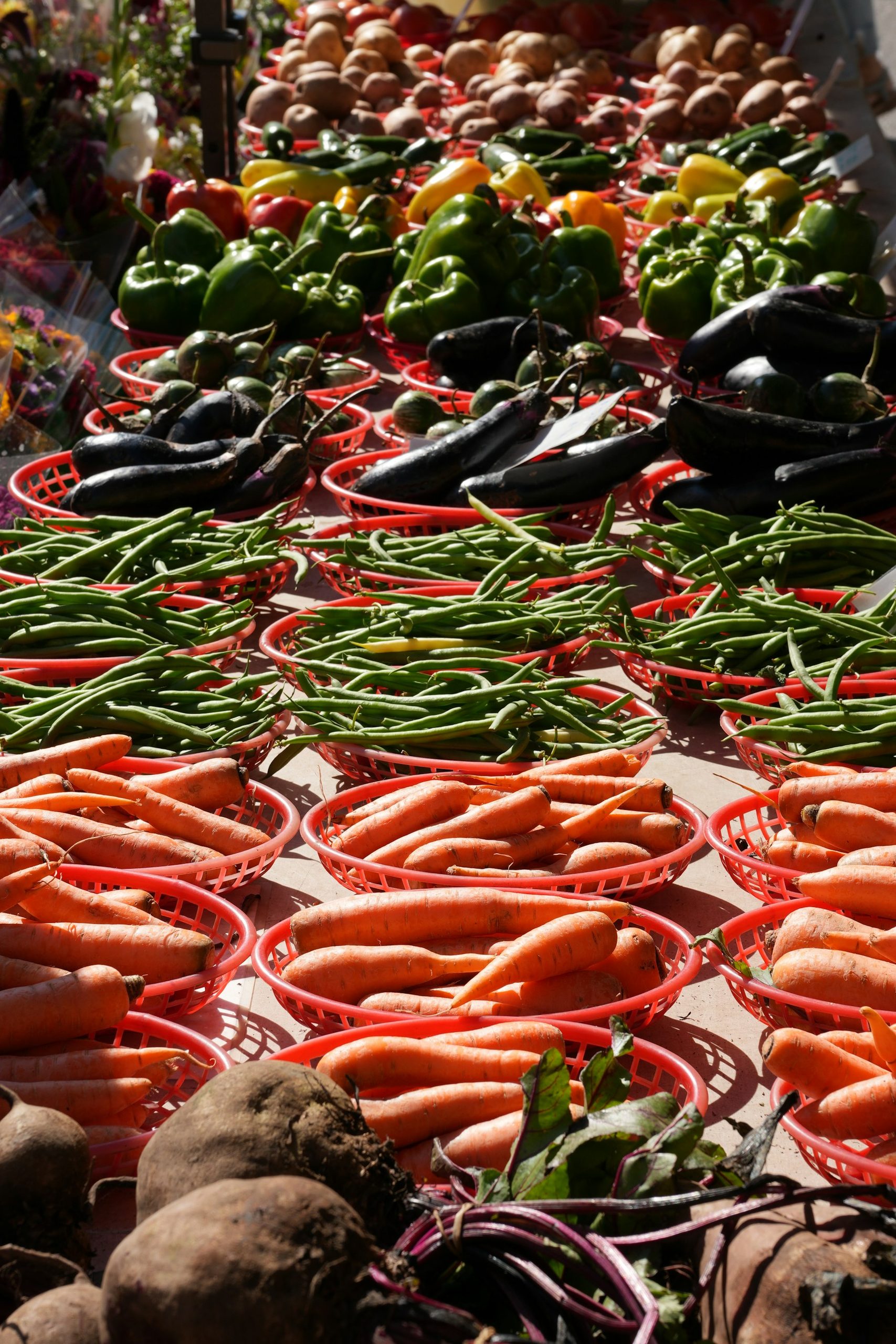 Fresh vegetables at the morning market
