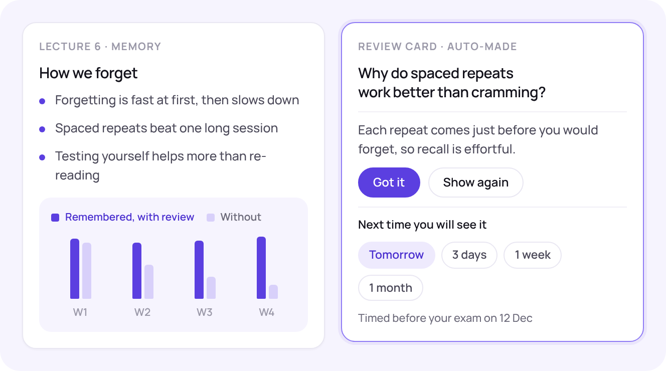 Lecture notes and review cards