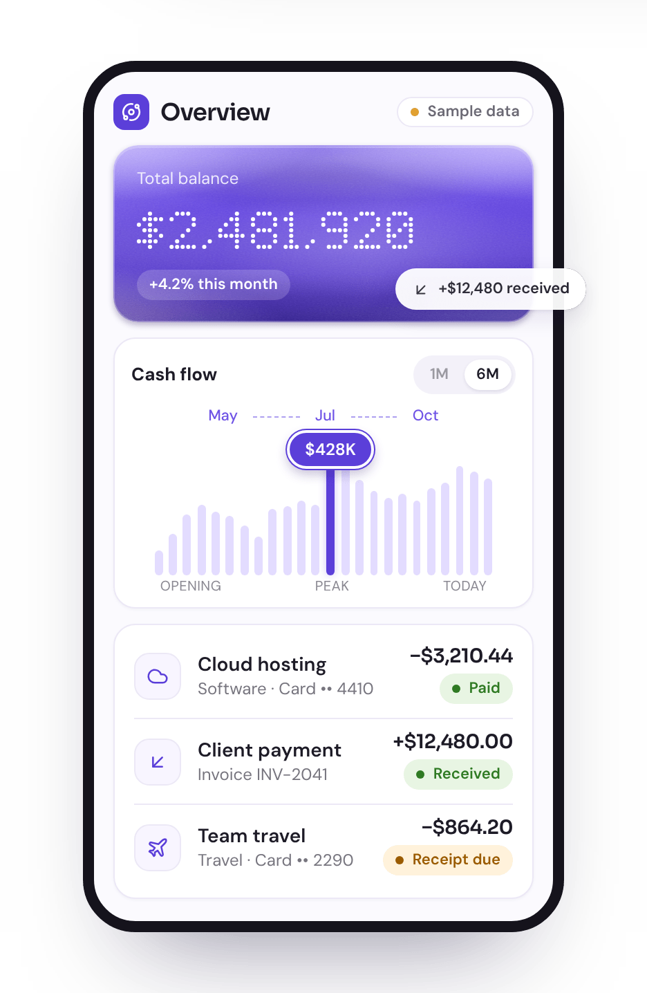 Illustrative Monetra phone dashboard with total balance, a cash-flow chart and recent activity