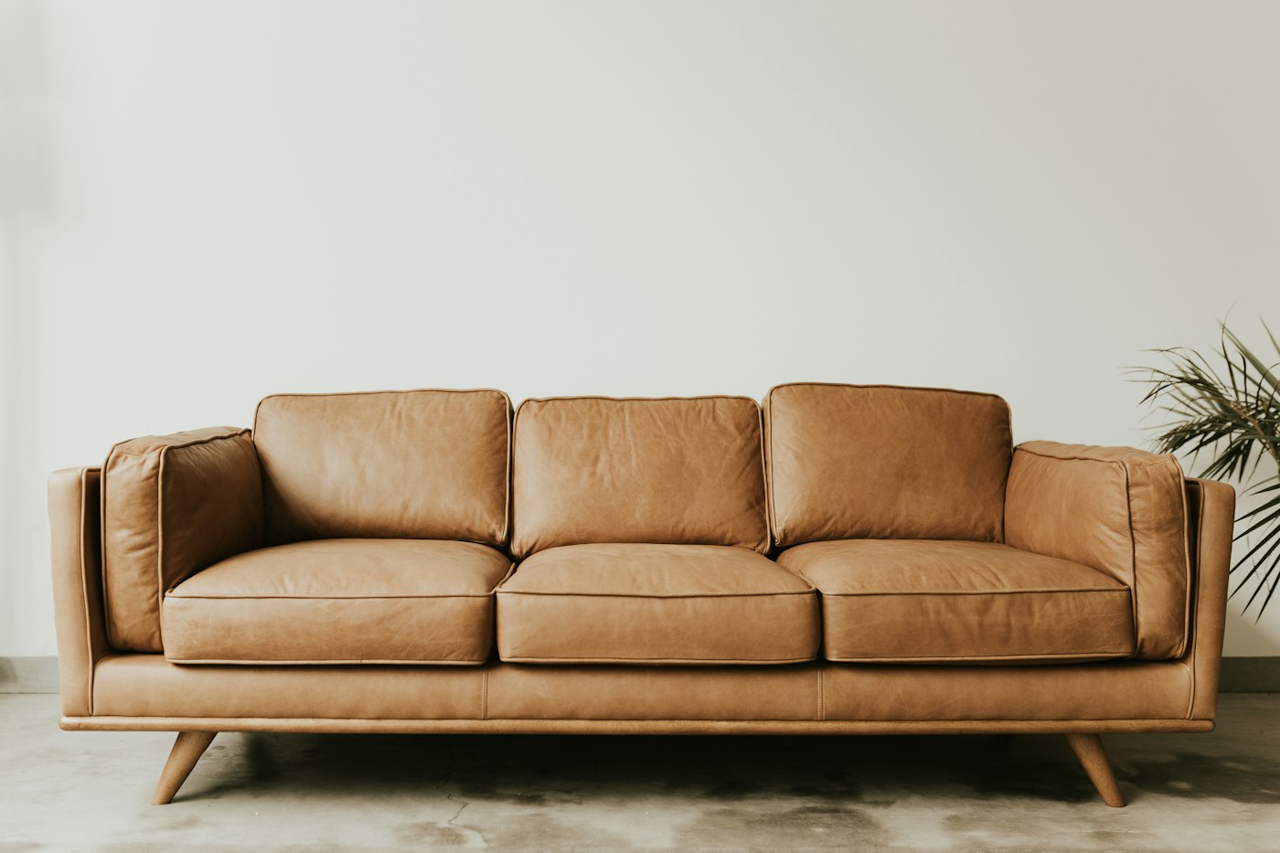 An oak bench with books