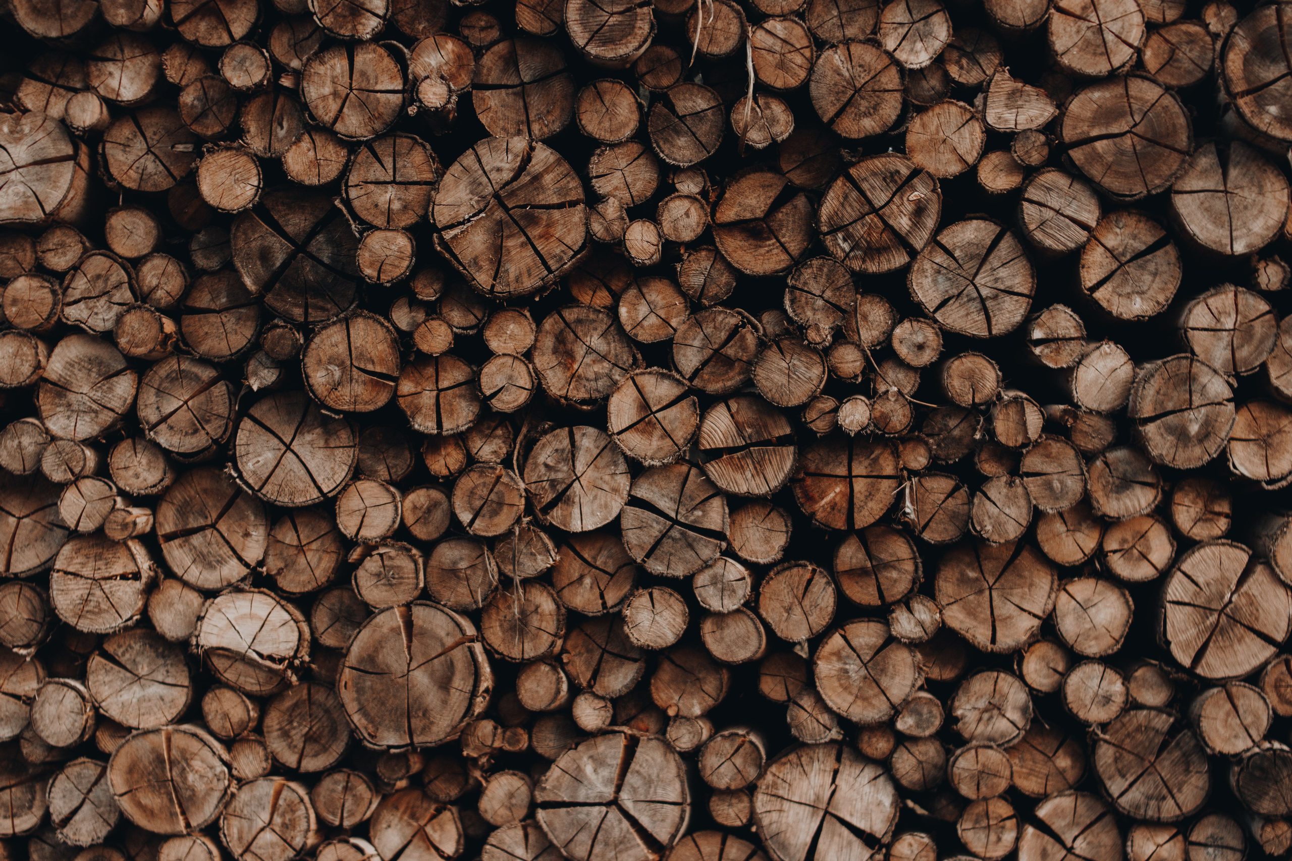 Stacked timber logs seen end-on